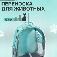 Рюкзак для переноски животных, 31&times;28&times;42 см, прозрачный, бирюзовый