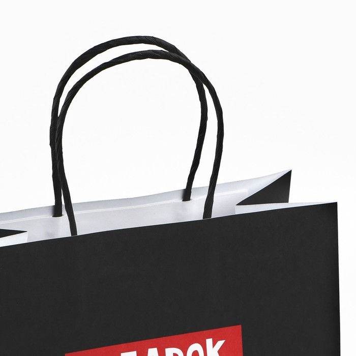 Пакет подарочный новогодний «Подарок, который ты заслужил», 22 х 22 х 11 см Пакет подарочный новогодний «Подарок, который ты заслужил», 22 х 22 х 11 см