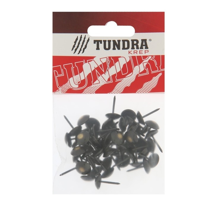 Гвозди ТУНДРА, декоративные, обивочные, 11х17 мм, бронза ренессанс, фасовка 50 шт Гвозди ТУНДРА, декоративные, обивочные, 11х17 мм, бронза ренессанс, фасовка 50 шт