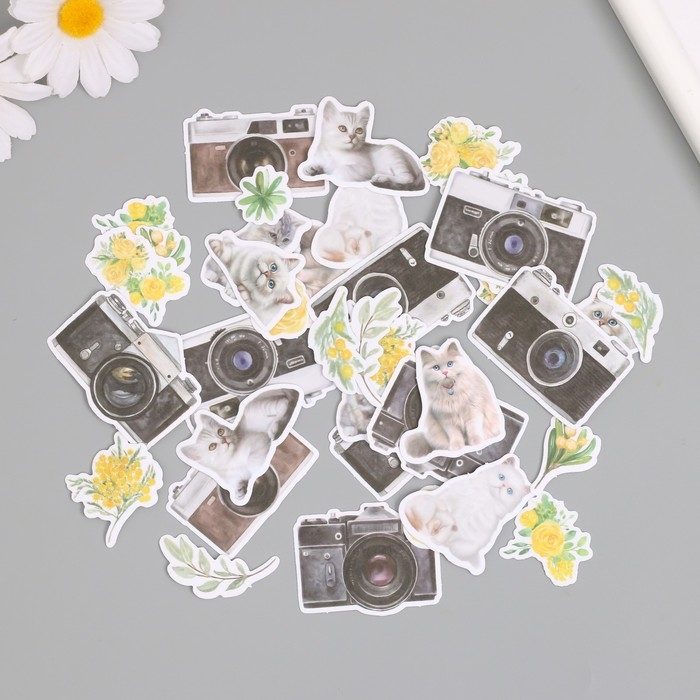 Наклейки для творчества Наклейки для творчества "Коты, жёлтые цветы и фото" 3,5х5 см набор 40 шт 9,4х8,4х0,5 см