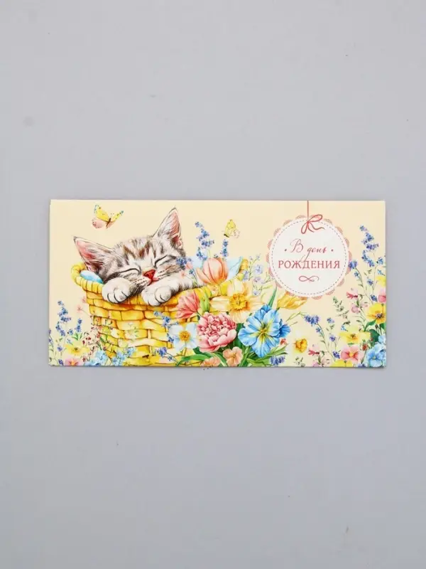 Конверт для денег «В День Рождения», котик спит, 16,5 х 8 см Конверт для денег «В День Рождения», котик спит, 16,5 х 8 см