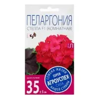 Семена цветов Пеларгония зональная &laquo;Стелла&raquo;, F1, 4 шт.