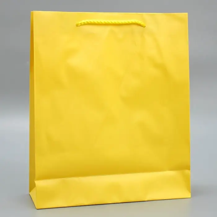 Пакет подарочный ламинированный, упаковка, «Жёлтый», ML 21 х 25 х 8 см