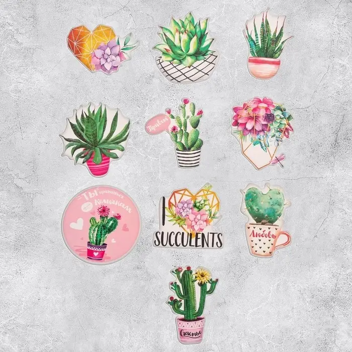 Наклейки-стикеры &laquo;Суккуленты&raquo;, 7 &times; 7 см