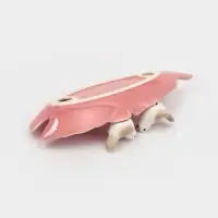 Блюдо сервировочное &laquo;Птички на листочке&raquo;, 21&times;8&times;5 см, керамика, розовое