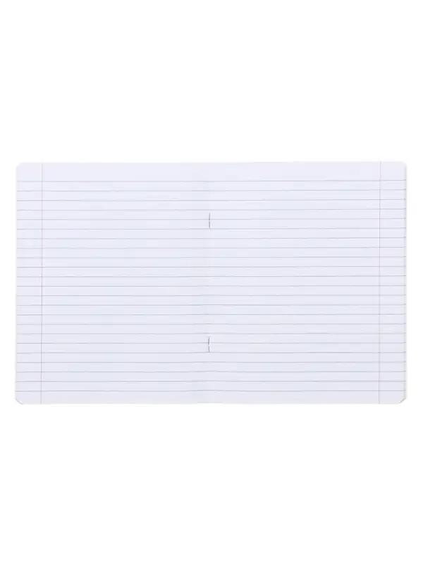 Комплект тетрадей из 10 штук, 24 листа в линию Calligrata "Школьная", обложка мелованный картон, ВД-лак, блок офсет, 5 видов по 2 штуки