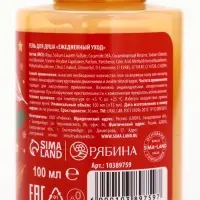 Подарочный набор новогодний в санях: гель для душа 2 шт., соль для ванны и мочалка, URAL LAB Подарочный набор новогодний в санях: гель для душа 2 шт., соль для ванны и мочалка, URAL LAB