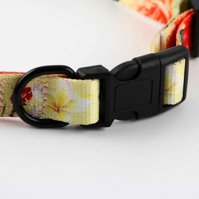 Набор &laquo;Цветы&raquo;, застёжка - фастекс, поводок 2 м и ошейник 28-46 см