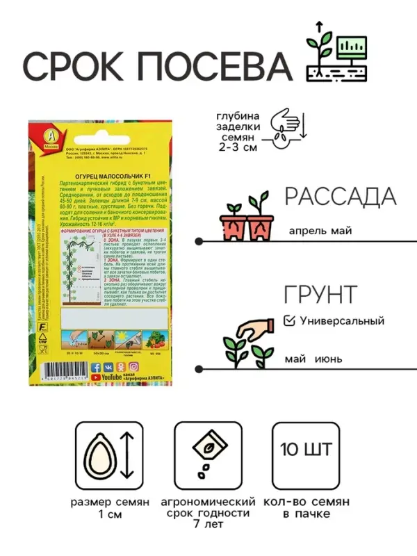 Семена Огурец Семена Огурец "Малосольчик F1", раннеспелый, партенокарпический, 10 шт