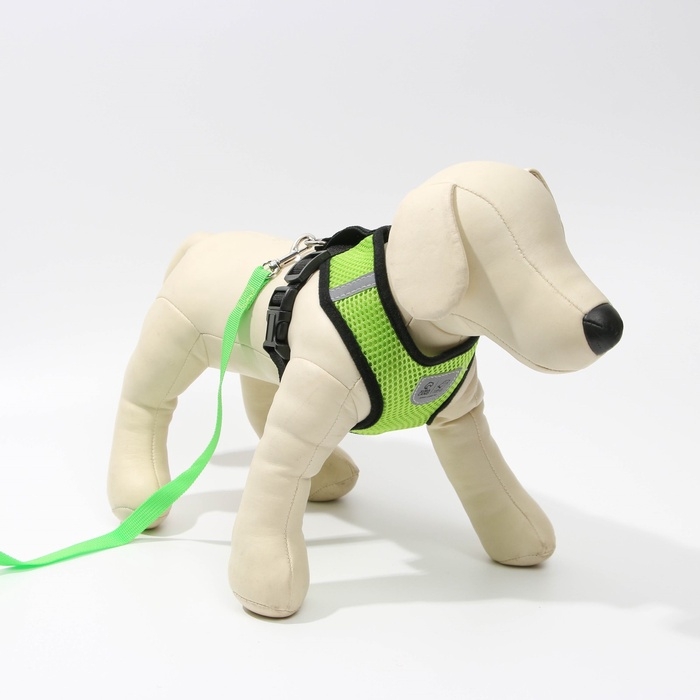 Шлейка дышащая с поводком и светоотражающей нашивкой, M, ОШ 33, ОГ 32-43, зеленая Шлейка дышащая с поводком и светоотражающей нашивкой, M, ОШ 33, ОГ 32-43, зеленая