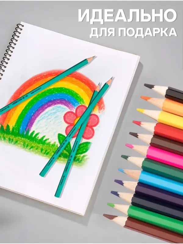 Карандаши Calligrata, цветные, 12 цветов, ЭКОНОМ, шестигранные, пластиковые, пенал-тубус и 3 чернографитных карандаша с ластиком в ПОДАРОК