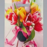 Пакет подарочный &laquo;Сиеста&raquo;, полиэтиленовый с вырубной ручкой, 29&times;40 см, 35 мкм