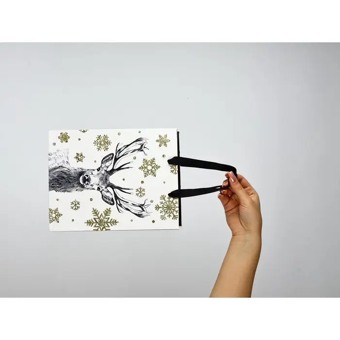 Набор пакетов «Новый год», 3 шт, 18 × 23 × 9 см Набор пакетов «Новый год», 3 шт, 18 × 23 × 9 см