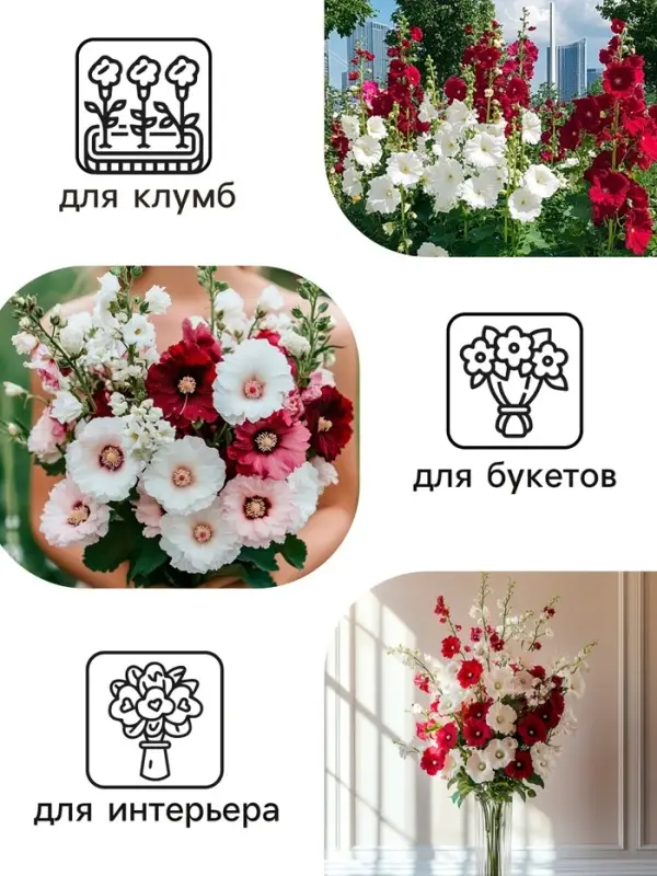 Семена   Шток-роза Индийская весна, смесь сортов , 0,3г