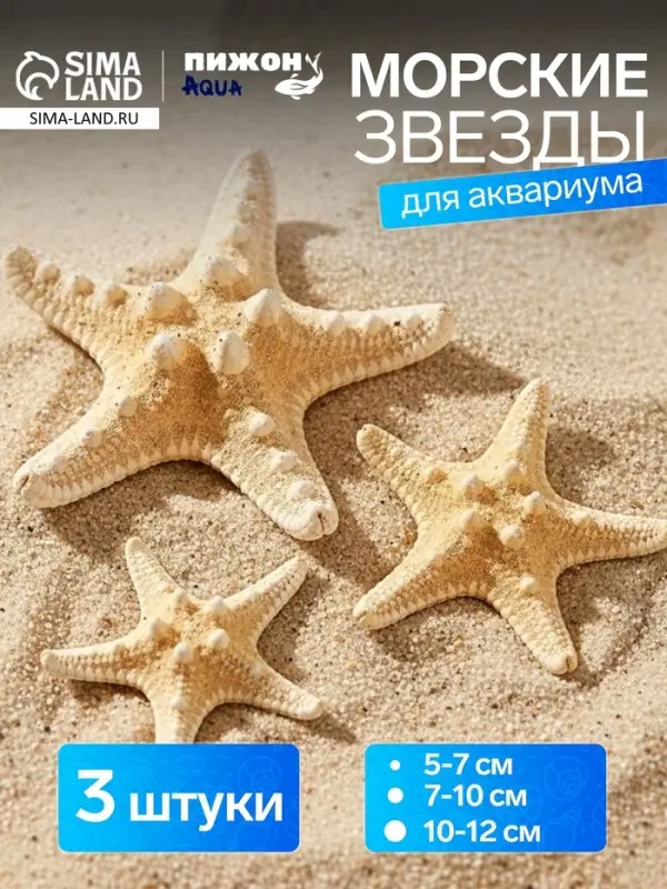 Набор из 3 морских звезд, размер 5-7 см, 7-10 см, 10-12 см, белый