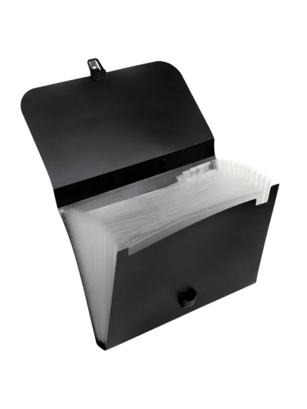 Папка-портфель А4, 12 отделений, 600 мкм, ErichKrause Matt Classic, до 350 листов, чёрная