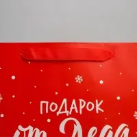 Пакет подарочный новогодний &laquo;Подарок от Деда Мороза&raquo;, 25.5&times;30&times;9 см