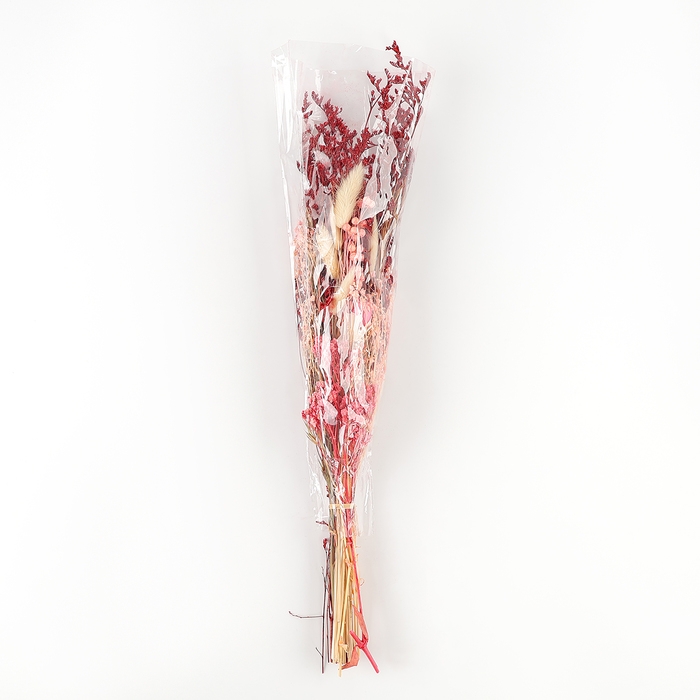 Букет из сухоцветов «Притяжение», 52 × 12 × 8 см Букет из сухоцветов «Притяжение», 52 × 12 × 8 см