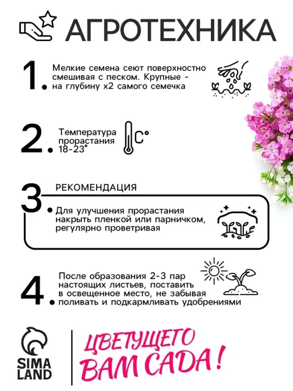 Семена цветов Алиссум «Ежевичные меренги», 5 шт. Семена цветов Алиссум «Ежевичные меренги», 5 шт.