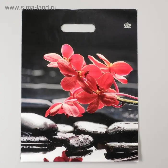 Пакет «Гармония», полиэтиленовый с вырубной ручкой, 60 мкм, 40×31 см Пакет «Гармония», полиэтиленовый с вырубной ручкой, 60 мкм, 40×31 см