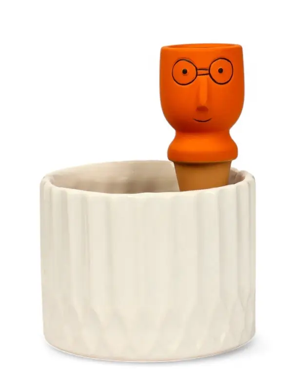 Автополив для комнатных растений &laquo;Который выжил&raquo;, 14&times;4.6 см, керамика, набор 4 шт., МИКС