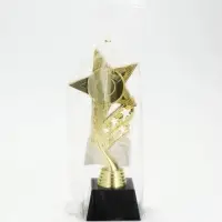 Кубок, наградная фигура &laquo;Звезда&raquo;, подставка пластик, золото, 24&times;10.1&times;7.8 см