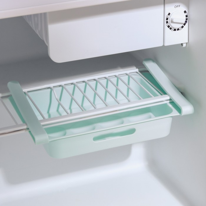 Полка для яиц в холодильник, подвесная, 12 ячеек, 26×17×5 см, МИКС