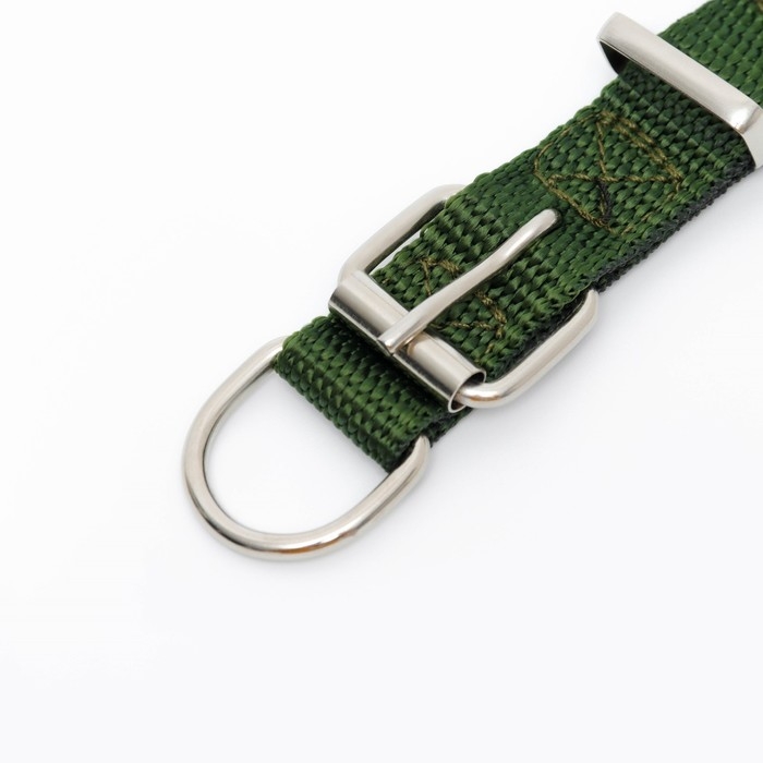 Ошейник Ошейник "Комфорт" комбинированный, 55 х 2,5 см, ОШ 40-50 см, зелёный