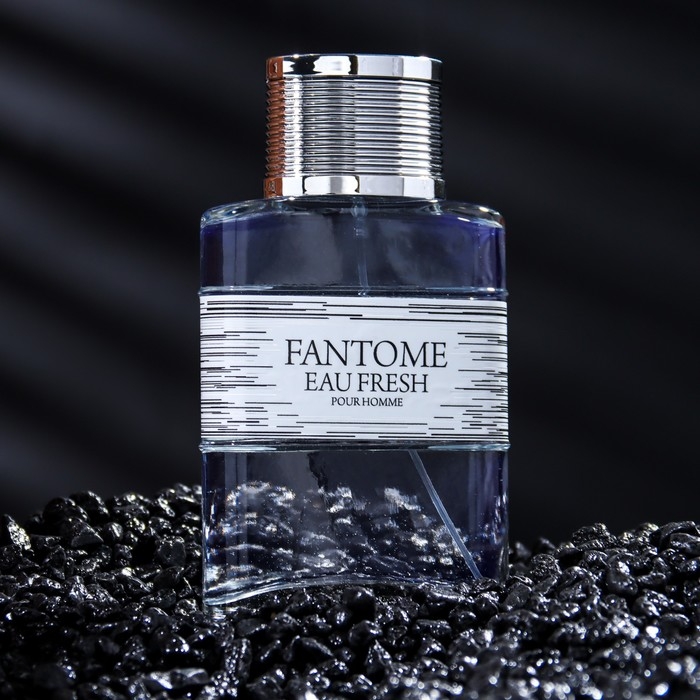 Туалетная вода мужская FANTOME FRESH, 100 мл Туалетная вода мужская FANTOME FRESH, 100 мл