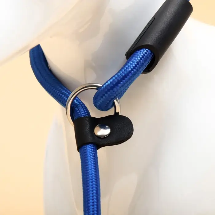 Ринговка для собак, 130&times;0.8 см, синяя