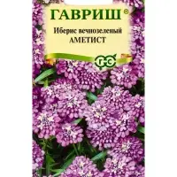 Семена цветов Иберис вечнозеленый &laquo;Аметист&raquo; 0.1 г