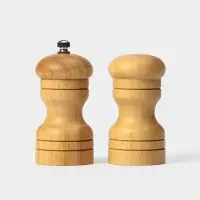 Набор для специй Доляна &laquo;Комфорт&raquo;, 50 мл, 11&times;10&times;5 см, 2 предмета: мельница, солонка