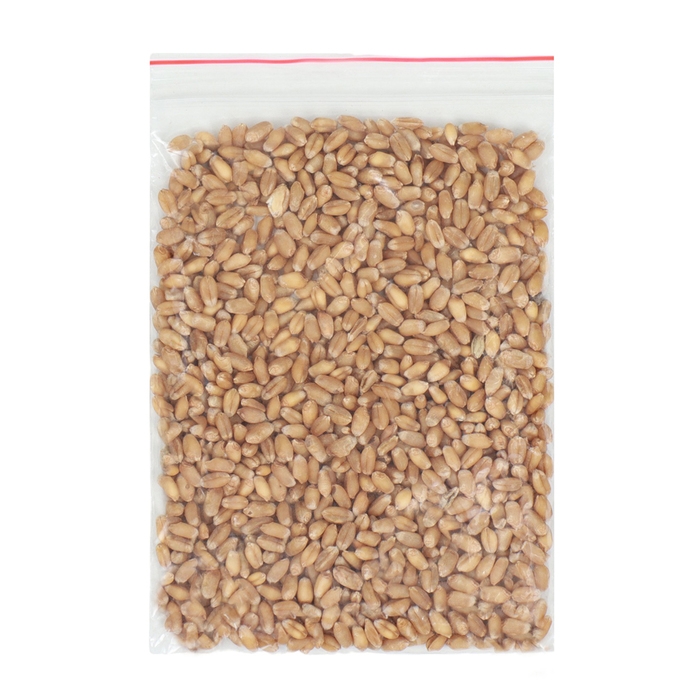 Лоток для проращивания травы кошкам 26,5 х 17,5 х 5 см Лоток для проращивания травы кошкам 26,5 х 17,5 х 5 см