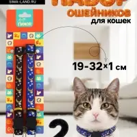 Набор ошейников для кошек &laquo;Ночь&raquo;, 19-32&times;1 см, 2 шт.