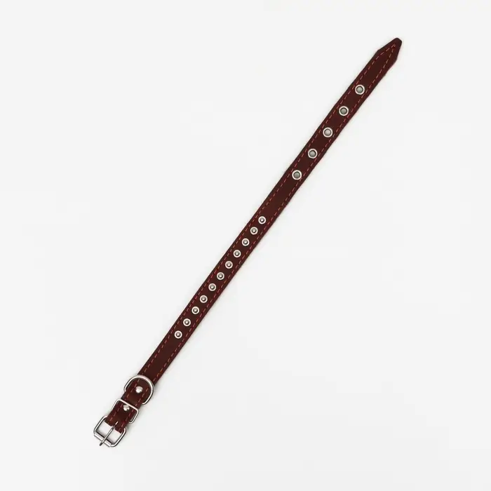 Ошейник украшенный, 45&times;2 см, ОШ 25-35 см, на синтепоне, кожа, коричневый