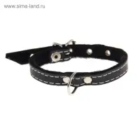 Ошейник тисненый на фетре, 30&times;1.2 см, кожа, цвет МИКС