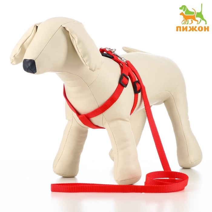 Комплект  Комплект "Базис", поводок 120 х 1,5 см, шлейка 32-46 х 1,5 см, красный