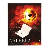 Набор предметных тетрадей Calligrata &laquo;Футбол&raquo;, 10 предметов, 48 листов, со справочным материалом, обложка из мелованного картона, блок офсет