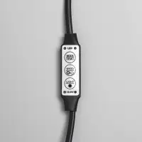 Гирлянда &laquo;Конский хвост&raquo; 10 нитей по 1 м, IP20, серебристая нить, 100 LED, свечение белое, 8 режимов, 12 В