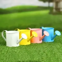 Кашпо &laquo;Лейка&raquo;, 150 мл, металл, МИКС