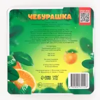 Раскраска многоразовая &laquo;Чебурашка&raquo;, 16&times;16 см, с маркерами, 12 стр.