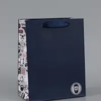 Пакет подарочный ламинированный, упаковка, &laquo;Ты лучший&raquo;, MS 18&times;23&times;10 см, цвет МИКС