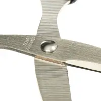 Ножницы канцелярские 17.4 см, Calligrata TOP, офис пластиковые ручки, европодвес
