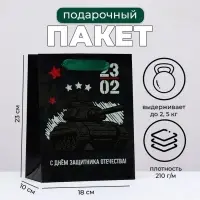 Пакет подарочный ламинированный вертикальный &laquo;23 февраля&raquo;, 18&times;23&times;10 см