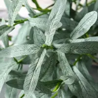 Цветы искусственные "Эстрагон" 85 см, зелёный