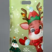 Пакет подарочный, с zip-lock застежкой, "Друзья дедушки Мороза", 15х22см МИКС Пакет подарочный, с zip-lock застежкой, "Друзья дедушки Мороза", 15х22см МИКС