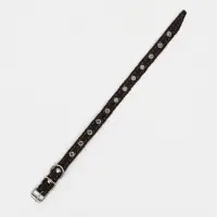 Ошейник кожаный однослойный, безразмерный, 37&times;1.5 см, ОШ 21-32 см, чёрный