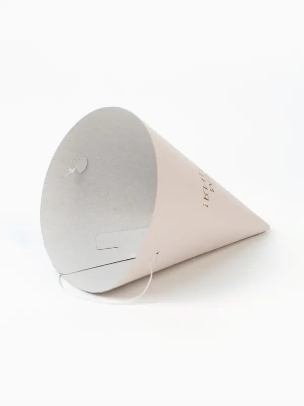 Набор колпаков праздничных «С Днём рождения», универсальный, 6 шт Набор колпаков праздничных «С Днём рождения», универсальный, 6 шт