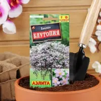 Набор семян Бакопа Блутопия, 2 шт. Набор семян Бакопа Блутопия, 2 шт.