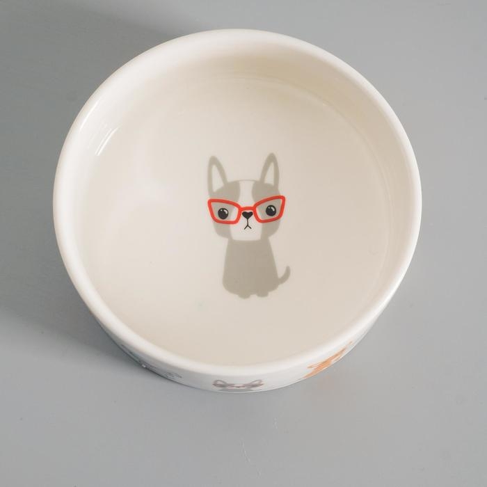 Миска керамическая  Миска керамическая "Важный пес" 250мл, 11,5 х 5 см, белая